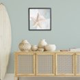 thumbnail image 3 of Stupell Industries Starfish over Circle Pattern Coastal Painting Black Framed Art Print Wall Art, 24 x 24, 3 of 10