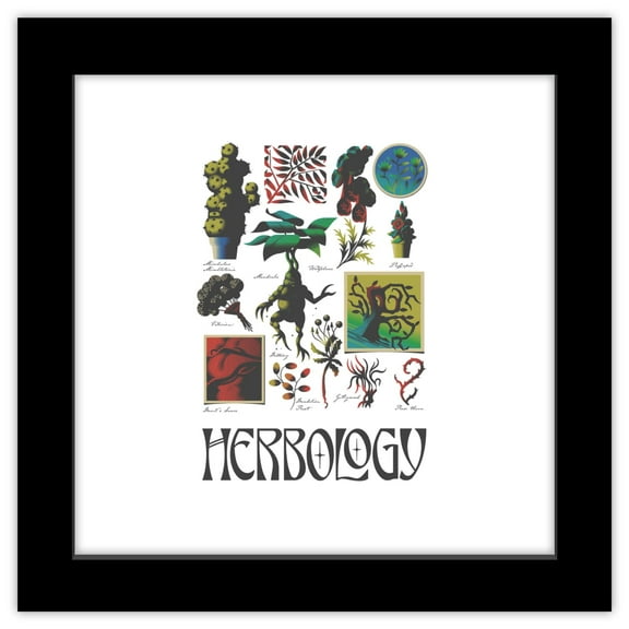 Gallery Pops Harry Potter - Potions and Spells Herbology Wall Art, Black Framed Version, 12" x 12"
