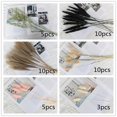 thumbnail image 5 of CreativeArrowy Tall Pampas Grass Fluffy Artificial Stems Dried Reed Flowers Bouquet Home Wedding Decoration Multicolor Floating Dust, 5 of 9