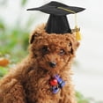 thumbnail image 4 of 2025 Pet Graduation Cap â Adjustable Black Doctoral Hat with Tassel for Small & Medium Dogs/Cats, Photo Prop & Party (Polyester), 4 of 7