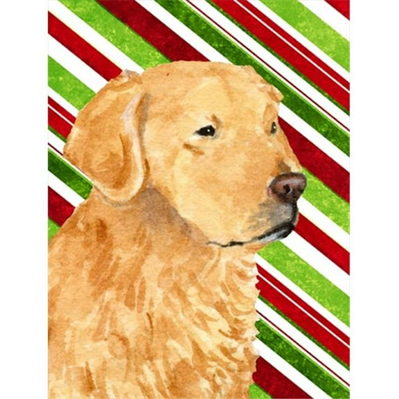 11 x 15 In. Golden Retriever Candy Cane Holiday Christmas Flag, Garden Size