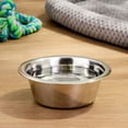 thumbnail image 2 of (2 pack) Vibrant Life Stainless Steel Dog Bowl, Large, 2 of 7