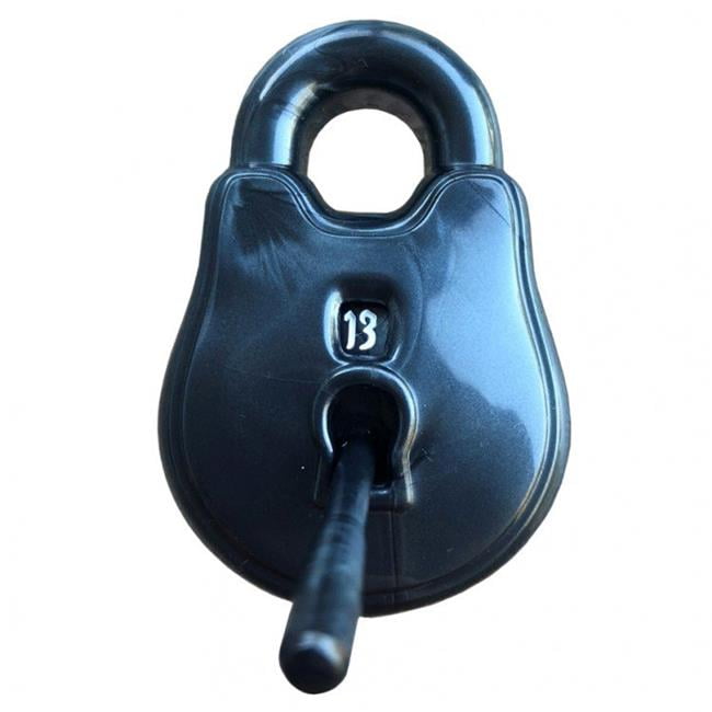 PolyHero Dice GSUA2222 D20 Lock & Pick Cold Iron Ice & Ward White Dice