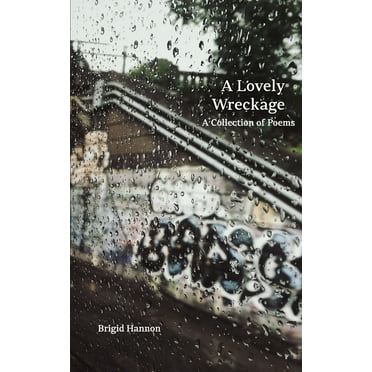 A Lovely Wreckage (Paperback)