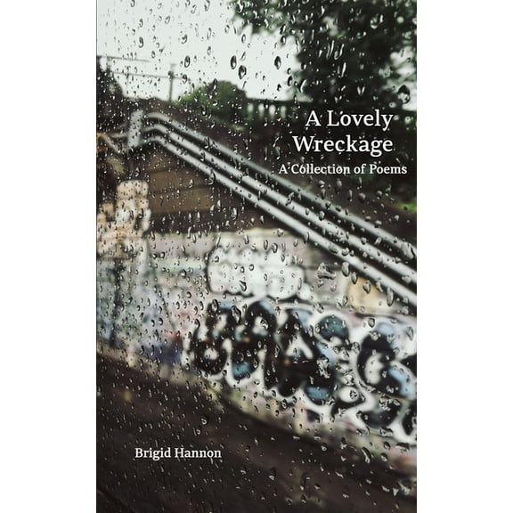 A Lovely Wreckage (Paperback)