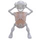 thumbnail image 2 of Figura De Esqueleto, Plásticos De Detección Sensibles Divertidos, Juguete De Esqueleto De Baile Duradero Que Brilla En La Oscuridad Para Niños Y Niños Para Descompresión, 2 of 7