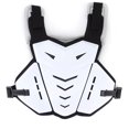 thumbnail image 2 of Accesorio para montar, chaleco para motocicleta, chaleco para motocicleta transpirable a prueba de golpes, equipo de protección, construcción robusta, 2 of 9