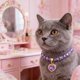 thumbnail image 5 of Collar ajustable con forma de corazón y diamantes de imitación para mascotas, collar brillante de cristal para perros y gatos, joyería de moda para mascotas, ideal para perros y gatos pequeños y media, 5 of 6