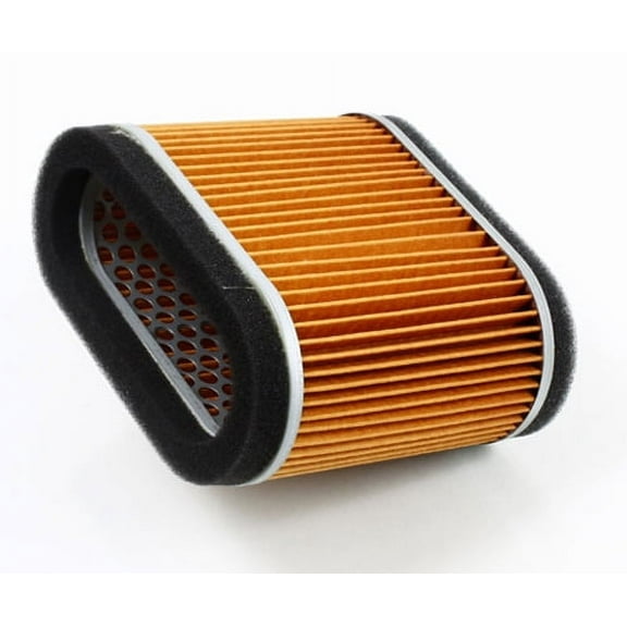 Hiflofiltro HFA2906 Premium OE Replacement Air Filter