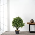 thumbnail image 6 of Poetree 2PCS 24 Inch Tall Boxwood Ball-Shaped Artificial Topiary w/Pot Indoor/Outdoor, 6 of 11