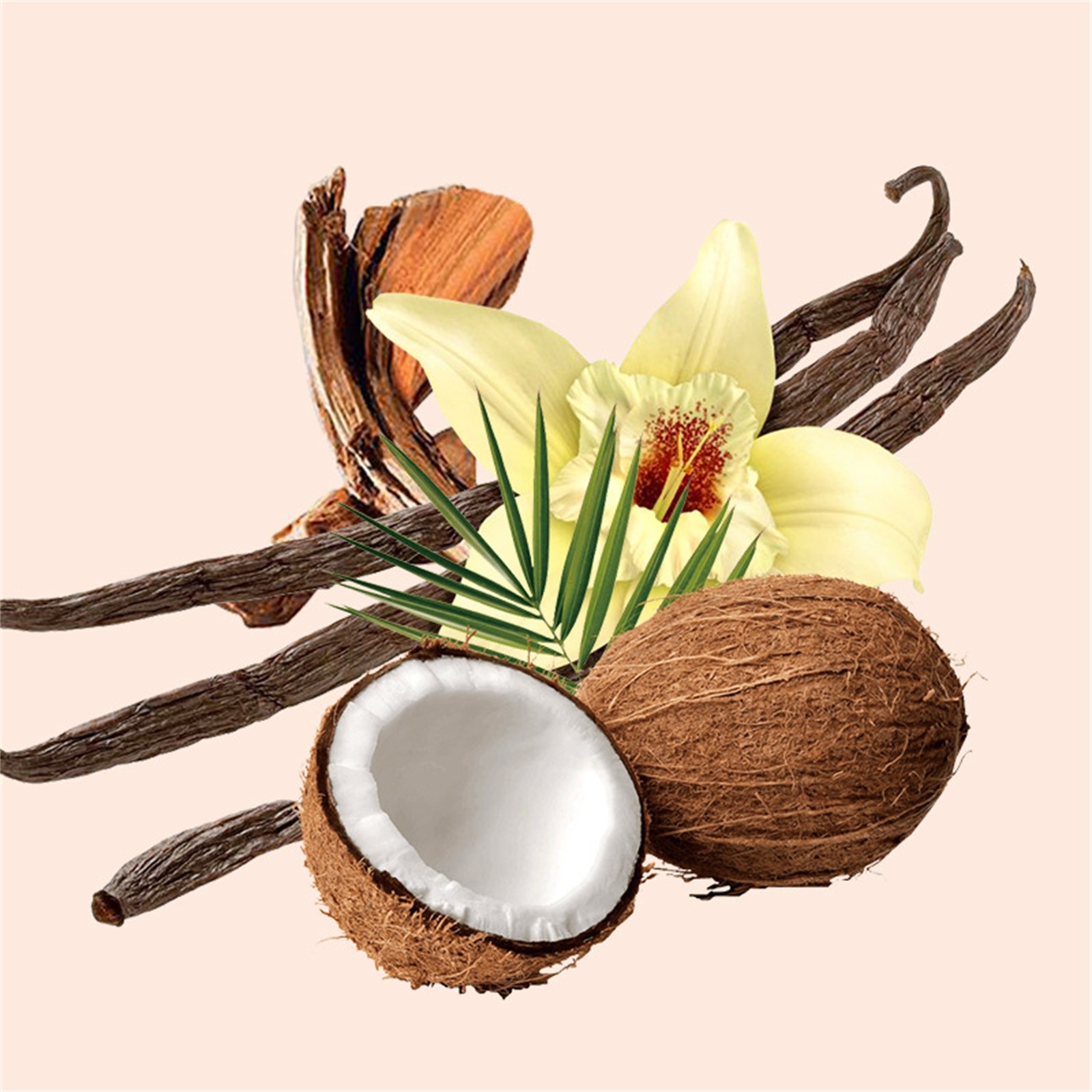 Top Sale! Vanilla Coconut Fragrance Spray Long-Lasting Fragrance Not Pungent Portable, Body & Hair Fragrance Mist Hair & Body Perfume Spray 50Ml, Fragrance Emanates, Fragrance Spray*1