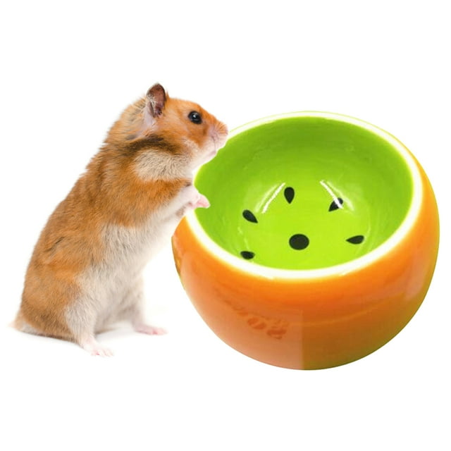 Hamster Bowl Creative Cute Fruit Pattern Pet Bowl Pet Food Bowl for Small Pets