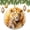 pattern-3, variant on Lioness Mom And The Cub Ornament Forest Animals Lion Double-Sided Printed 3" Ceramic Christmas Ornament Ceramic Elegant Hanging Christmas Tree Decorations Holiday Present