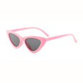 thumbnail image 1 of Lady moda ojo de gato Retro gafas de sol hombres transparente colorido gafas mujeres triángulo clásico al aire libre salvaje Unisex, 1 of 4