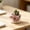 D, variant on Cute Animal Ceramics Planter with Tray, Cow Shaped Ceramic Planter, Small Succulent Plant Pot, Decorative Flower Pot for Desk, Indoor Garden Cow Planter, Cartoon Shaped Plant Pot for Cactus,D