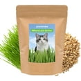 Cat Grass Seeds for MMF7 Indoor Cats Quick & Easy to Grow, Ready to