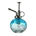 thumbnail image 1 of Embossed Snowflake Glass Watering Can Indoor Sprinkler Sprayer for Home Gardening, 1 of 3