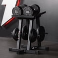 thumbnail image 3 of Titan Fitness Dumbbell Stand and Plate Tree, 260 LB Capacity, 3 of 9