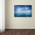 thumbnail image 4 of Trademark Fine Art 'Blue Dream' Canvas Art by Philippe Sainte-Laudy, 4 of 4