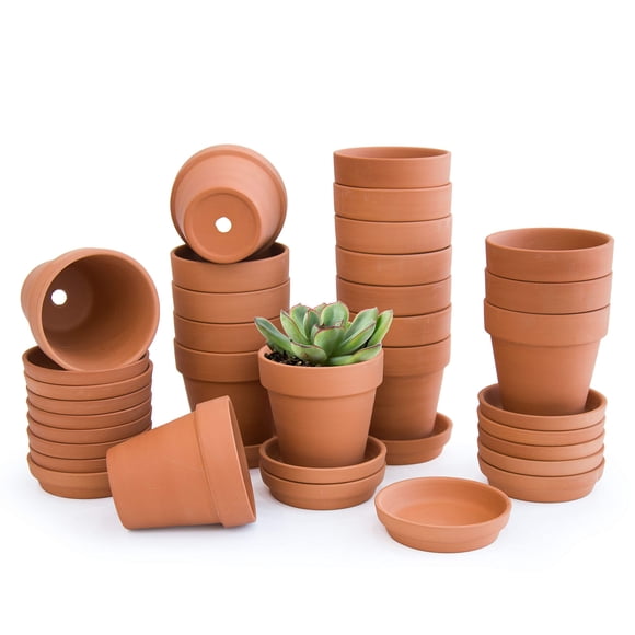 D'vine Dev Pack of 18 Terracotta Pots with Saucers, 3 Inches Terra Cotta Pots with Tray, Clay Pots for Plants & Succulents, Terracotta, 588-A-1-3