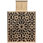 Rayhaan Elixir Eau De Parfum Spray for Everyone, 3.4 Oz