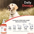 thumbnail image 3 of Brilliant Salmon Oil for Dogs and Cats, All-Natural Norwegian Fish Oil Omega 3 Supplements for Pets, 16.9 fl oz, 3 of 8