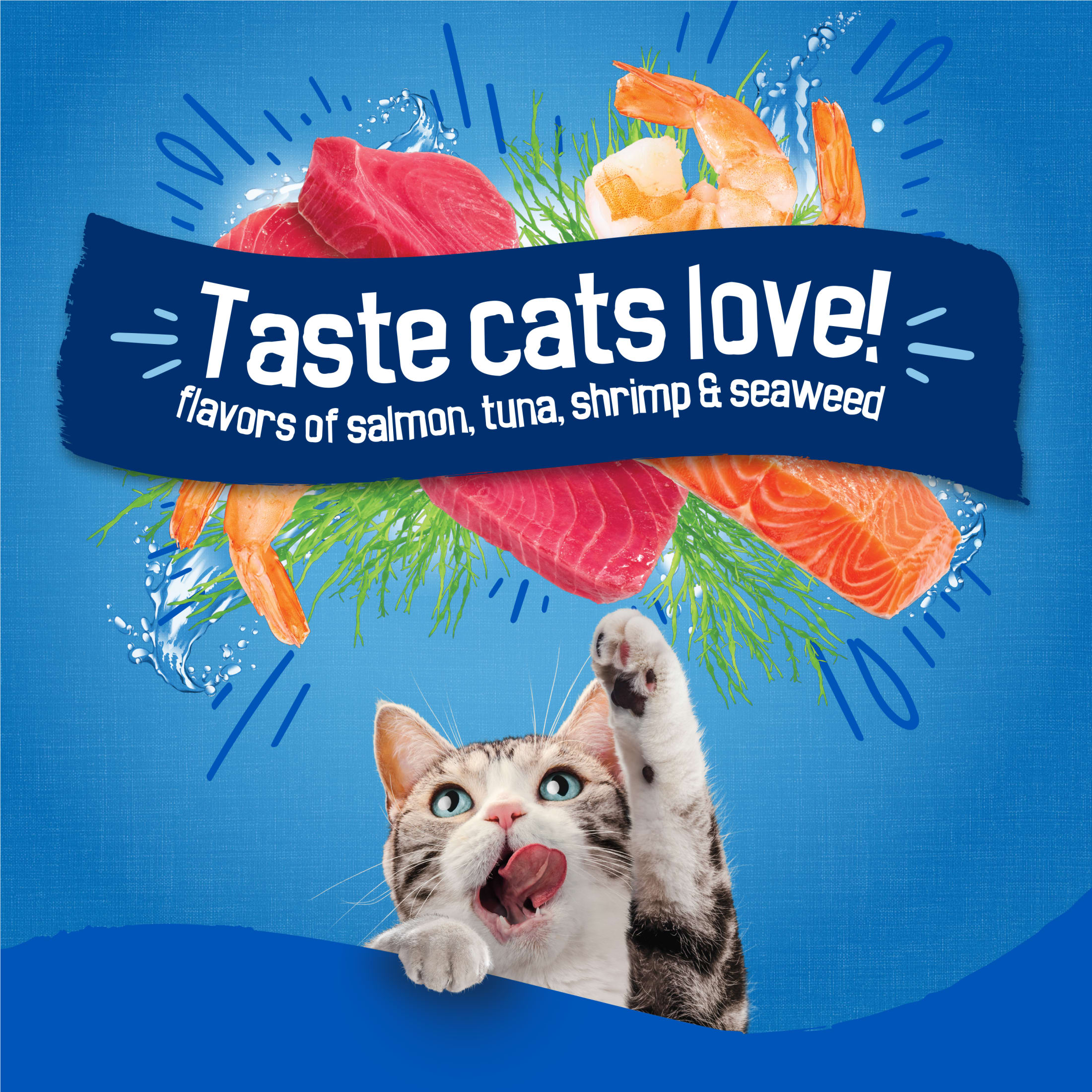 Friskies Seafood Sensations Dry Cat Food photo 4