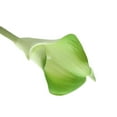 thumbnail image 4 of 10pcs elegante realista toque real artificial PU Calla Lily ramos de flores nupcial boda ramos de flores (verde), 4 of 4