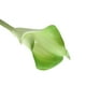 thumbnail image 2 of BESTYASH 10Ud Flores De Artificial Verde Para Ramo Y En Casa, 2 of 4