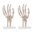 thumbnail image 1 of Modelo de de Articulación de Tamaño 2 Piezas en para Suministros de Laboratorio de Exhibición de Enseñanza perfke Estatua de esqueleto de mano, 1 of 8