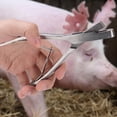 thumbnail image 2 of Alicates Para Etiquetas De Orejas De Cerdo, Suministros Para Animales Familiares Alicates Para Etiquetas De Orejas De Cerdo Suministros Para Animales De Granja Alicates Para Orejas EOTVIA No, 2 of 6