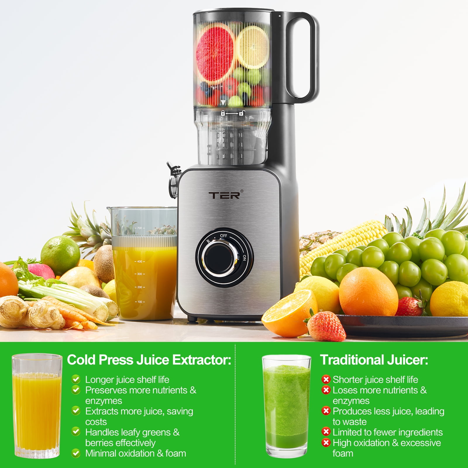 TER 250W Cold Press Juicer with 5-Inch Wide Chute, Slow Masticating Juicer for Vegetables and Fruits, Stainless Steel, Includes 2 Cups, Silver