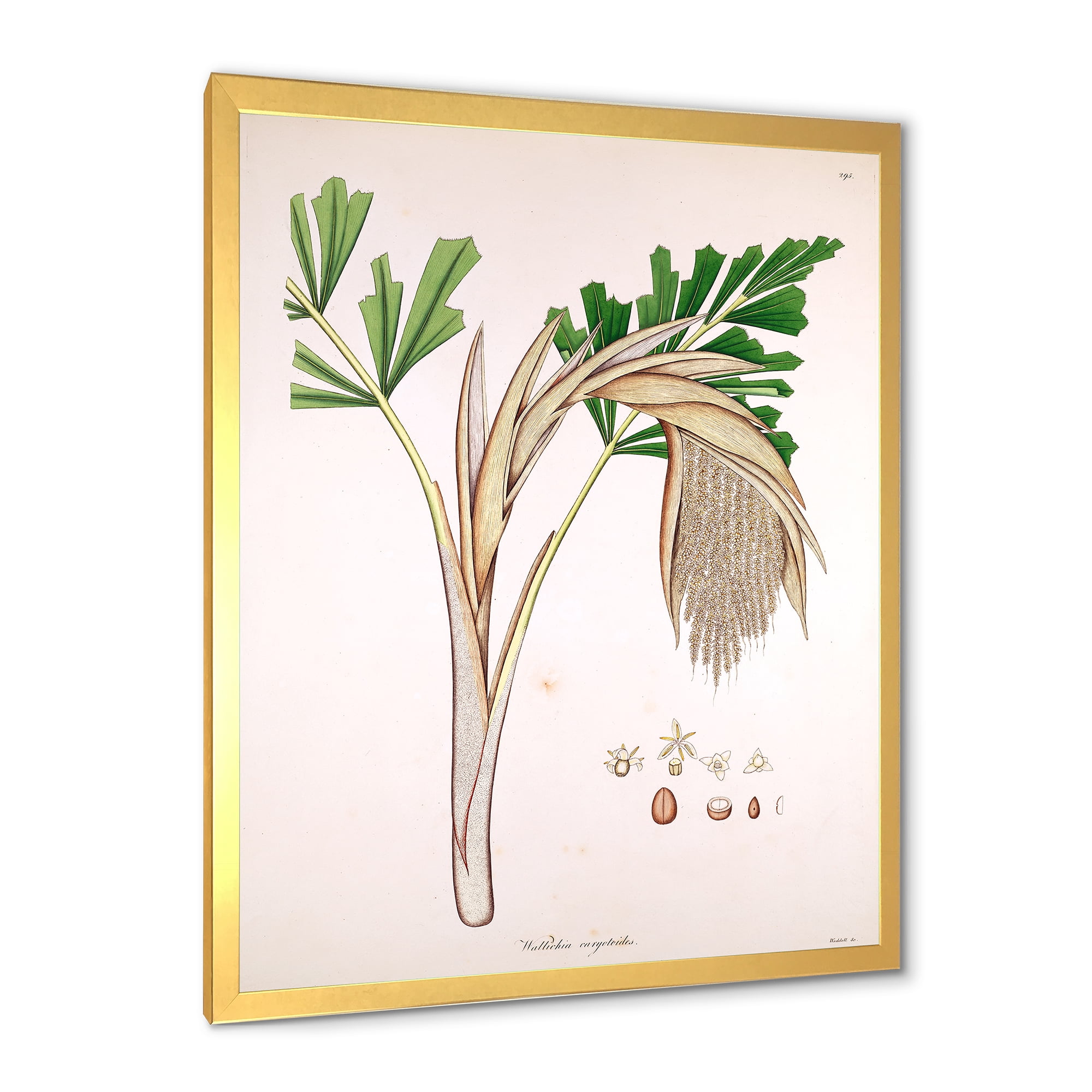Designart 'Ancient Plant Life XV' Farmhouse Framed Art Print