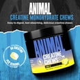thumbnail image 4 of Animal Creatine Performance Chew Tabs, Lemon, 120 Count, 4 of 7