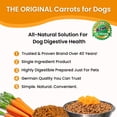 thumbnail image 2 of Abrigo de piel de fibra Olewo Original Carrots para comida para perros, 1 kg, 2 of 9