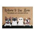 thumbnail image 1 of Summer Doormat Doormats Plain Doormat for Crafts Entryway Rug Washable Non Slip Door Rugs for Indoor Low Profile, Garge Porch Entryway Mat, Easy Clean Welcome Mats for Entryway, Porch, 16x24 Inch, 1 of 7