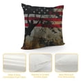thumbnail image 4 of Autua American Flag Graphic Decorative Pillow Cover for Home Couch Living Room Sofa, Aesthetic Decor Pillowcase 1PC 20x20in, 4 of 5