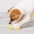 thumbnail image 2 of QJUHUNG Dog Teething Toy Chew for Dogs Chewing Puppy Toys The Tpr, 2 of 6