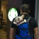 thumbnail image 4 of Mochila de viaje ajustable para perros y mascotas, bolsa de transporte para senderismo y ciclismo, para exteriores, Bulldog Francés, Pug, bolsas de transporte, 4 of 5