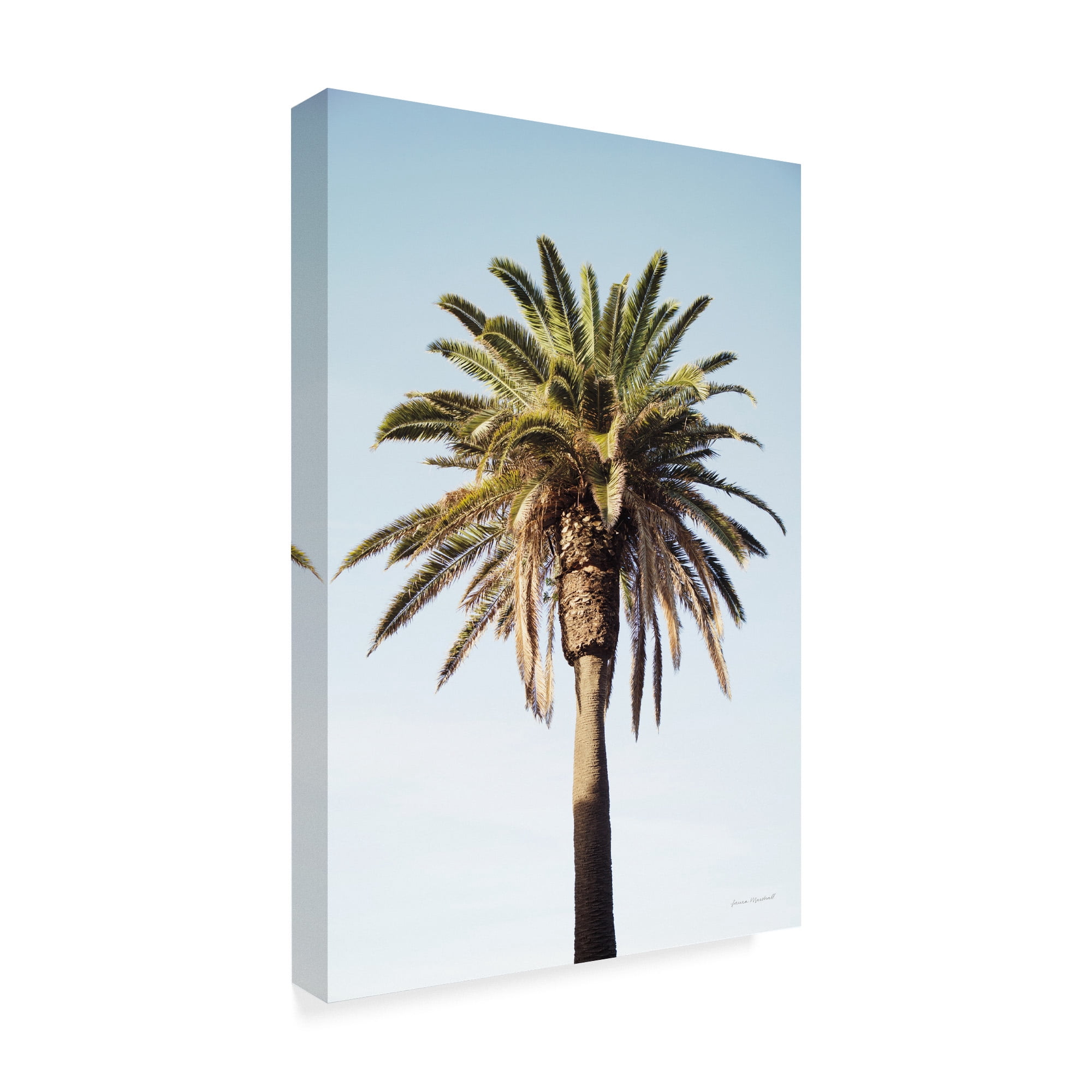 Trademark Fine Art 'Endless Summer IV' Canvas Art by Laura Marshall