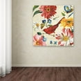 thumbnail image 3 of Trademark Fine Art "Rainbow Garden III Cream" Canvas Art by Lisa Audit, 3 of 6
