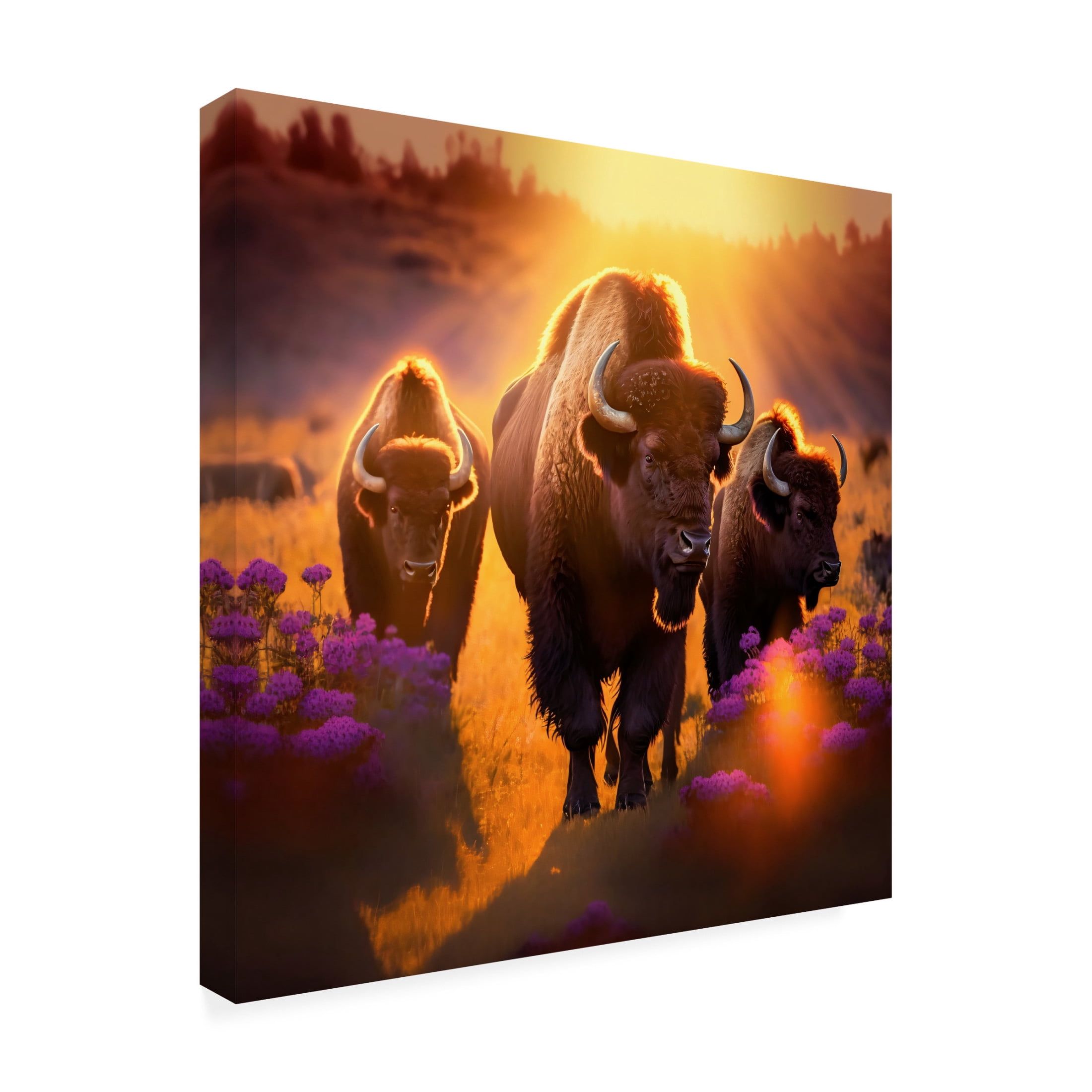 Canvas Wall Art - Ray Heere 'North American Wildlife 61' Wall Art for Living Room, Bedroom, or Office Décor by Trademark Fine Art - 35 x 35 Inches