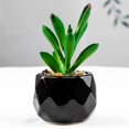 thumbnail image 2 of Artificial Succulent Plant Mini - Plastic Greenery Decoration Faux Potted Plant, 2 of 5