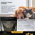 thumbnail image 2 of Lexelium Heart Supplement for Dogs and Cats - Provides Cardiovascular & Circulatory Support & Keeps Hearts Healthy with Taurine - Optimizes Heart Function & Circulation - Easy to Mix Powder - 200g, 2 of 5