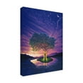 thumbnail image 2 of Trademark Fine Art 'Gaia, Earth Angel' Canvas Art by Kirk Reinert, 2 of 3