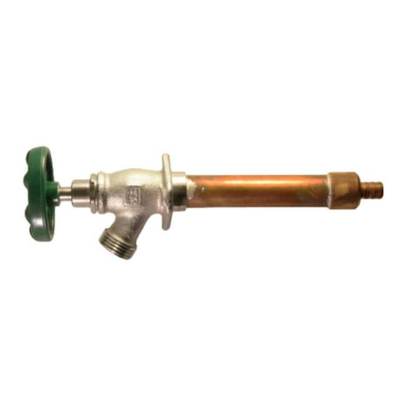 Arrowhead Brass Produits Hydrante Standard Antigel 459-10LF de 10 Po avec PEX de 0,5 Po