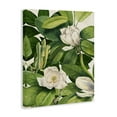 thumbnail image 3 of Stupell Industries Flowering White Blossoms Floral Painting Wrapped Canvas Canvas Art Print Wall Art, 16 x 20, 3 of 7