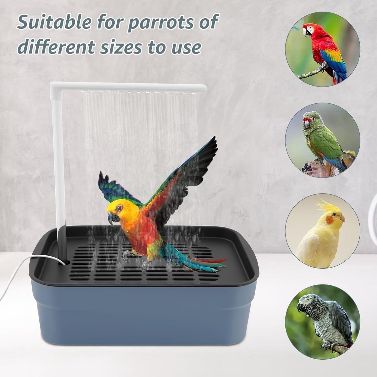 Winter Poetry Upgrade Automatic Circulation Parrots Bath Tub, External Small Sun Birdbath Tub A