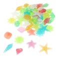 thumbnail image 3 of SHOWERORO 50Pcs Resin Fish Tank Accessories Glow in Shells Star Conch Decor, 3 of 8