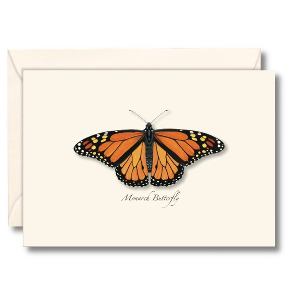 Juego de 8 Tarjetas de Notas Earth Sky + Water con Mariposa Monarca